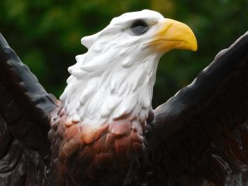 Eagle with Spread Wings - 55 cm - Polystone