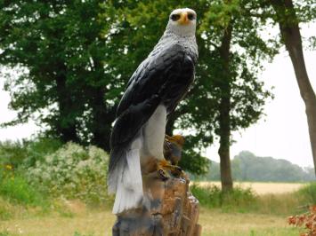Decoratieve Adelaar - 50 cm - Polystone
