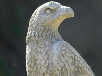 Eagle Statue - 38 cm - Stone