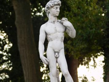 Beeld David op Sokkel - 88 cm - Steen
