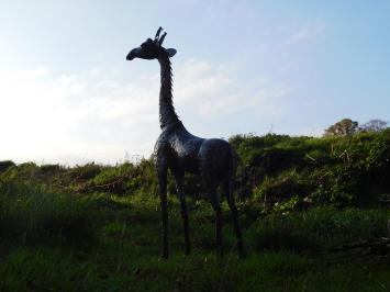 Giraffe XL - volledig van metaal - uniek object