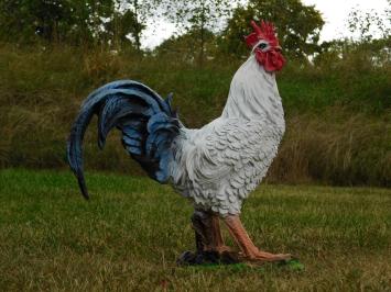 Statue Hahn – 50 x 45 cm – Polystone