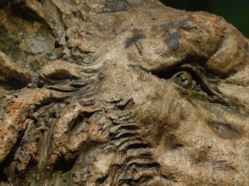 Skulptur Löwenkopf – 50 x 40 cm – Polystone