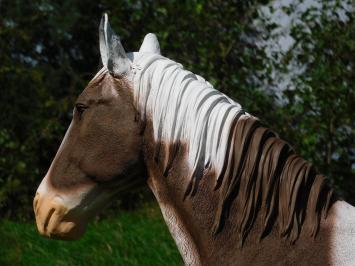 Beeld Paard Bruin met Wit - 105 cm - Polystone