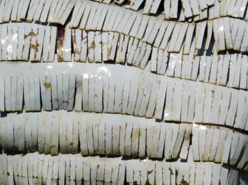 Image Sheep - 90 x 95 cm - Handmade from Metal