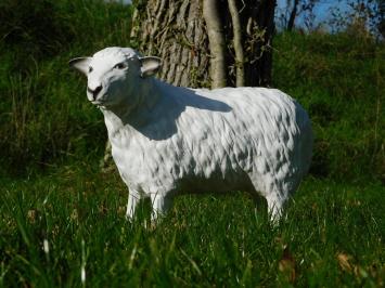 Beeld Schaap - 45 cm - Polystone