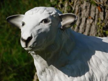 Beeld Schaap - 45 cm - Polystone