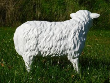 Beeld Schaap - 45 cm - Polystone