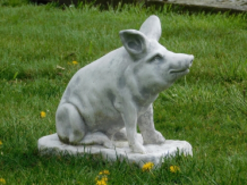 Statue eines Schweins - massiver Stein