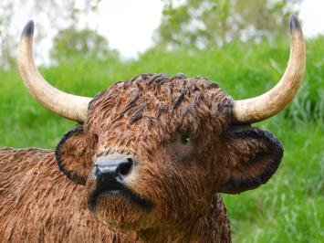 Scottish Highlander XL - 90 cm - Polystone