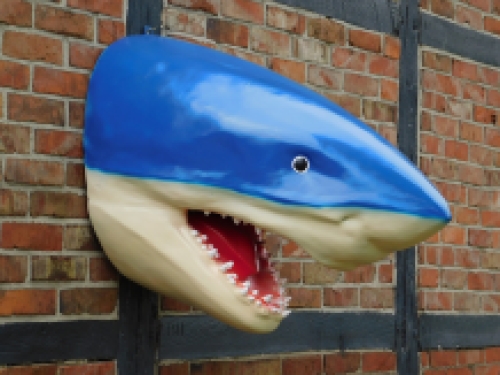 Large shark head with open mouth.