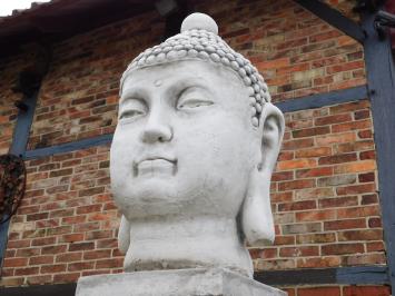 Buddha Head - 50 cm - Stone