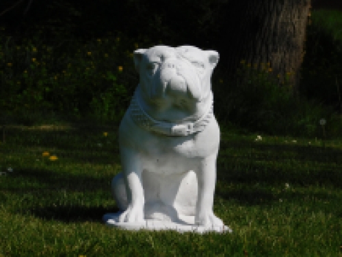 Beeld Bulldog XL - vol steen