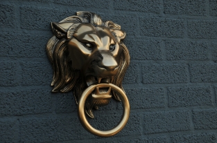 Hefty aluminum-brass color impression full lion head.