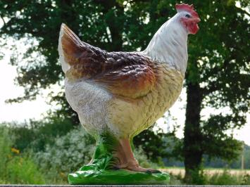 Decoratieve Haan B - 53 x 42 cm - Polystone