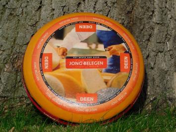 Decoratief Kaaswiel - Deen Jong Belegen - Ø 35 cm