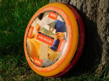 Decorative Cheese Wheel - Deen Jong Belegen - Ø 35 cm