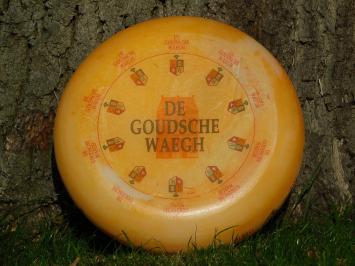 Decorative Cheese Wheel - De Goudsche Waegh Jong Belegen - Ø 35 cm