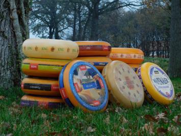 Decoratief Kaaswiel - Ø 35 cm - Diverse Soorten
