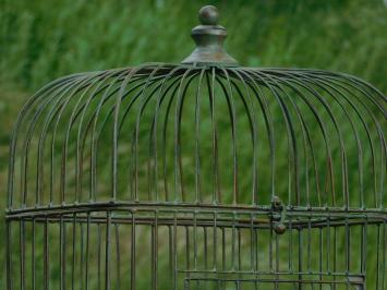 Decoratieve Vogelkooi - 120 cm - Staand - Metaal