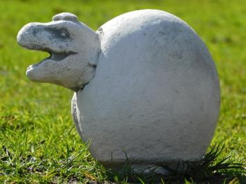 Statue Dino from Egg - Stone - 22 cm