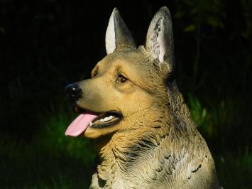 Beeld Duitse Herder - Polystone - Zeer Gedetailleerd