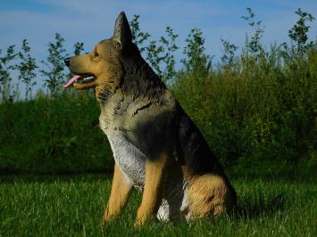 Statue German Shepherd - Polystone - Highly Detailed