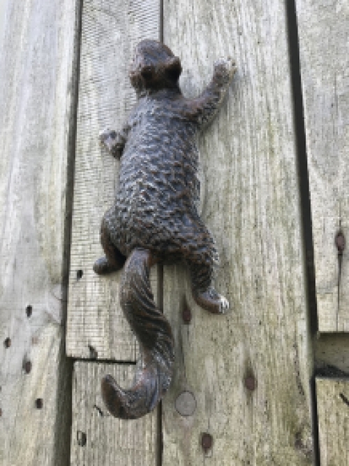 Een klimmende eekhoorn, kapstok-gemaakt van gietijzer, wanddecoratie