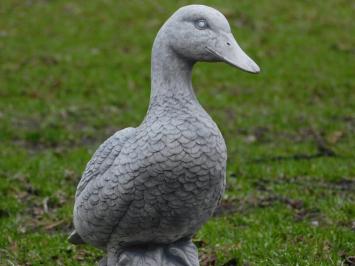 Stone duck - 37 cm - Detailed