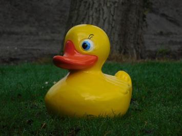 Duck XL - yellow - polystone