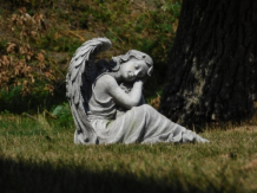 Sleeping angel - XL - polystone