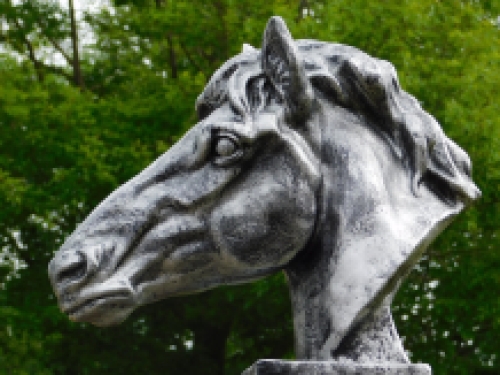 Large horse head - silver grey - polystone