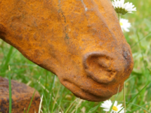 Pferdekopf - Gusseisen in Rost-Optik