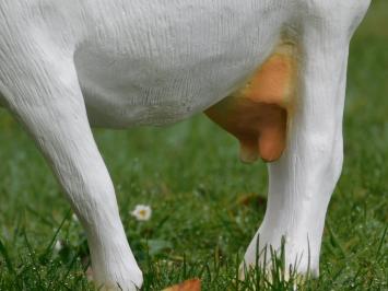 Goat - white - polystone - detailed