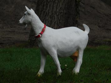 Goat - white - polystone - detailed