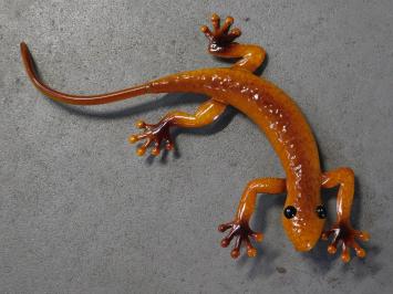 Gekko in kleur - handgeschilderd - metaal - wand deco