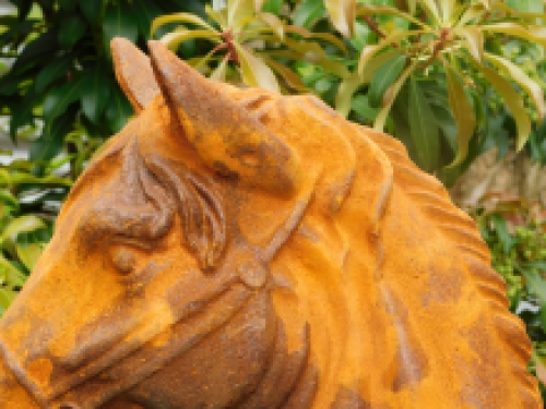 Gietijzeren sculptuur van een paardenhoofd, heel mooi ontwerp!