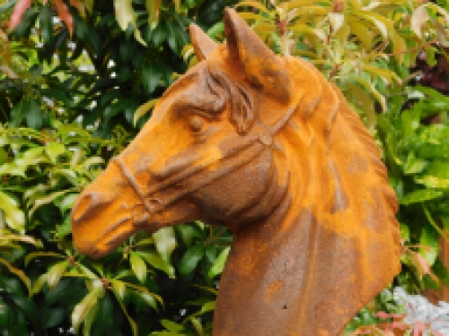 Cast iron sculpture of a horse head, very nice design!