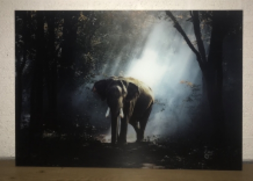 Prachtige kunst op glas van een olifant in een bos, heel mooi!
