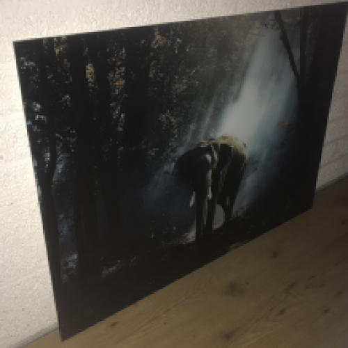 Prachtige kunst op glas van een olifant in een bos, heel mooi!