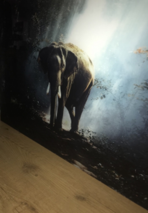 Prachtige kunst op glas van een olifant in een bos, heel mooi!
