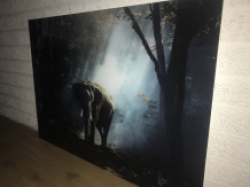 Prachtige kunst op glas van een olifant in een bos, heel mooi!