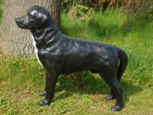 Beautiful ''Labrador Retriever'' black - from Polystone