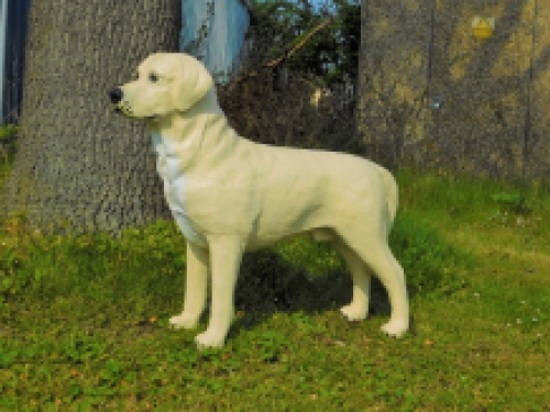 Prachtige ''Golden Retriever'' - van Polystone