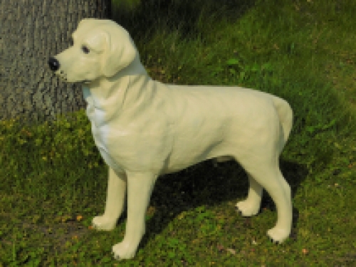 Prachtige ''Golden Retriever'' - van Polystone