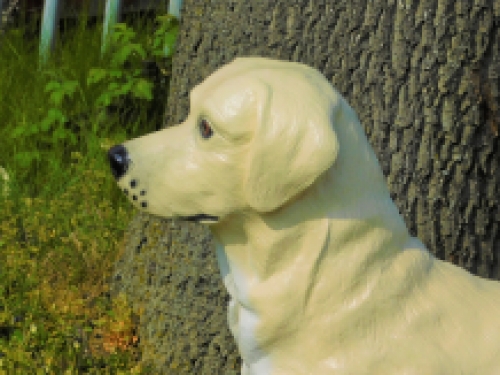 Prachtige ''Golden Retriever'' - van Polystone