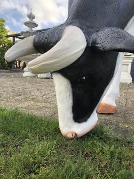 Beautiful sculpture of a large cow, beautifully colored, a real eye-catcher!