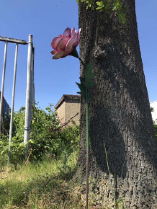 LETZTE: Ein Kunstwerk, große rosa Rose aus Metall, auf Stiel