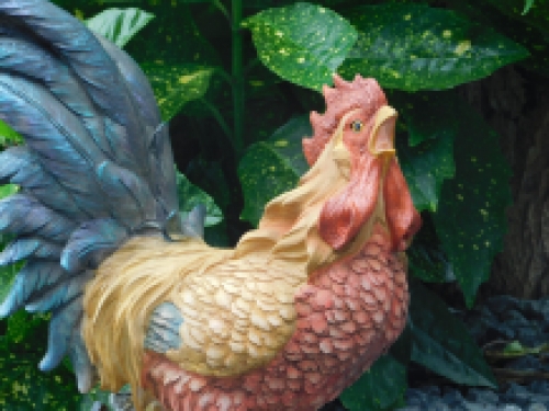 Haan, beeld van polystone, tuinbeeld haan in kleur