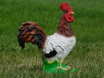 Beeld Haan in Kleur - Polystone - 40cm hoog
